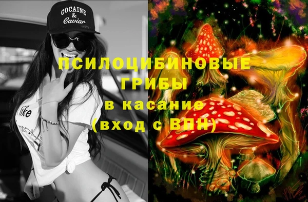 apvp Балахна