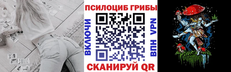 Галлюциногенные грибы Psilocybine cubensis  где найти наркотики  Белинский 